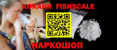стаф Владимир