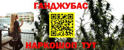 стаф Владимир