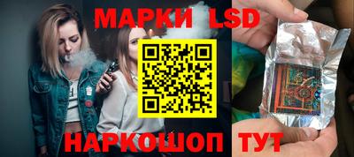 стаф Владимир