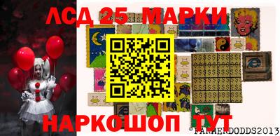 стаф Владимир