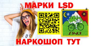 стаф Владимир