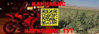 стаф Владимир