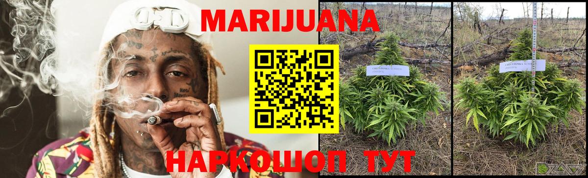 Марихуана Amnesia  Вход с VPN  Марихуана Bruce Banner  Горячий Ключ  Бошки Шишки гибрид 